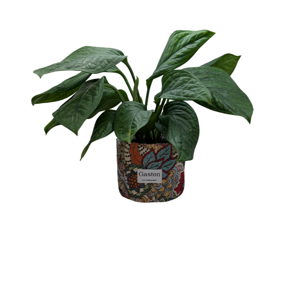 Cache pot floral