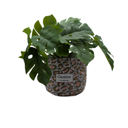 Cache pot Léopard rose